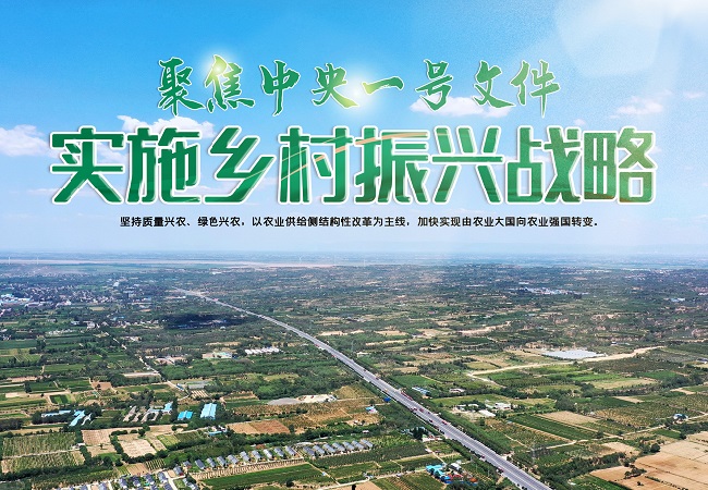 【中央一號(hào)文件】中央一號(hào)文件智慧農(nóng)業(yè)相關(guān)信息解讀！
